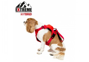 Ancol Extreme Hybrid Harness